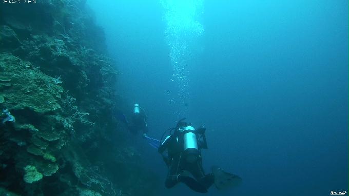 펀다이빙 - 필리핀 세부 막탄 뉴그랑블루 리조트 - 꼰띠끼(KONTIKI)