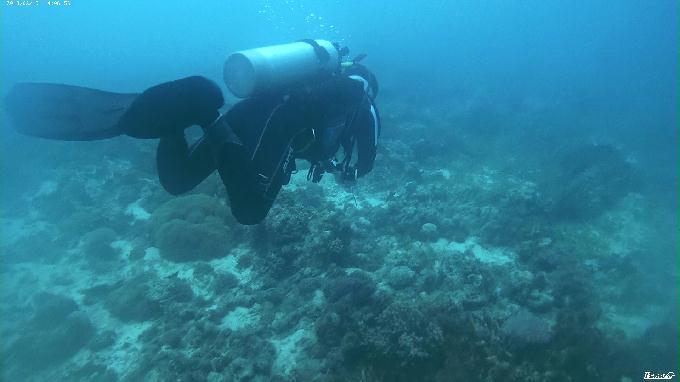 펀다이빙 - 필리핀 세부 막탄 뉴그랑블루 리조트 - 샹그릴라