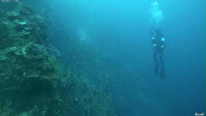 펀다이빙 - 필리핀 세부 막탄 뉴그랑블루 리조트 - 꼰띠끼(KONTIKI)