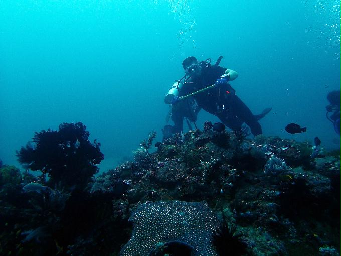 Fun Diving - 필리핀 민도르 사방비치 - LALAGUNA Point