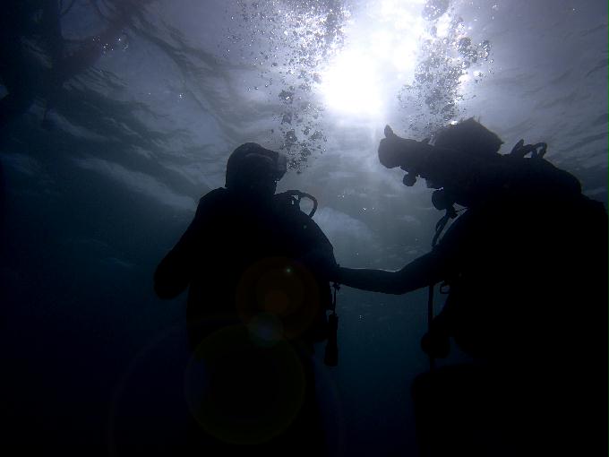 Fun Diving - 필리핀 민도르 사방비치 - GIANT CLAMS Point