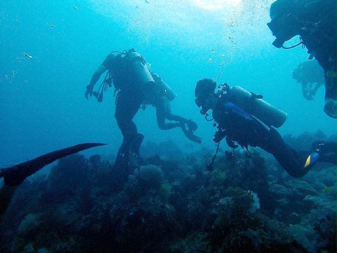 Fun Diving - 필리핀 민도르 사방비치 - MONKEY BEACH