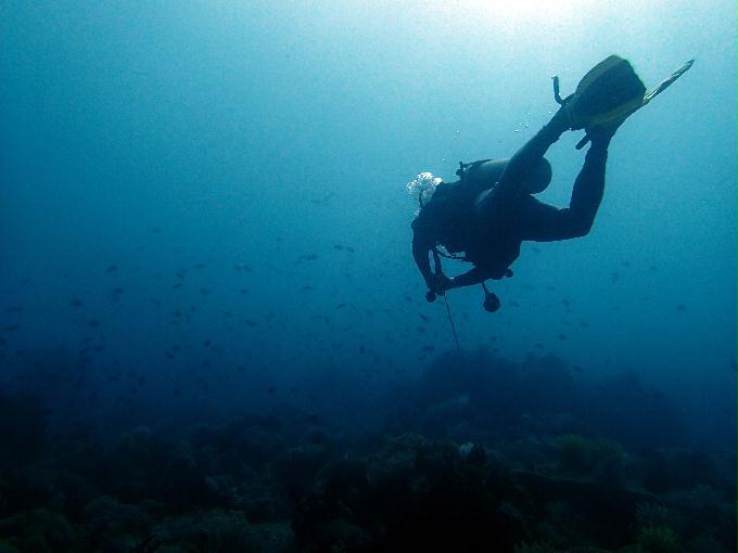 Fun Diving - 필리핀 민도르 사방비치 - MONKEY BEACH