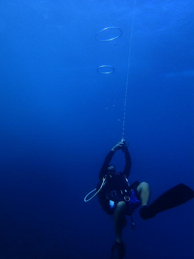 Fun Diving - 필리핀 민도르 사방비치 - From PINK WALL to HOLE IN THE WALL