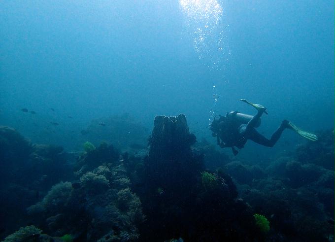 Fun Diving - 필리핀 민도르 사방비치 - MONKEY BEACH