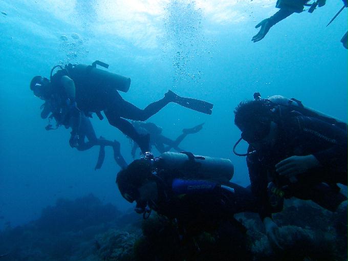Fun Diving - 필리핀 민도르 사방비치 - MONKEY BEACH