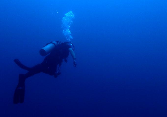 Fun Diving - 필리핀 민도르 사방비치 - From PINK WALL to HOLE IN THE WALL