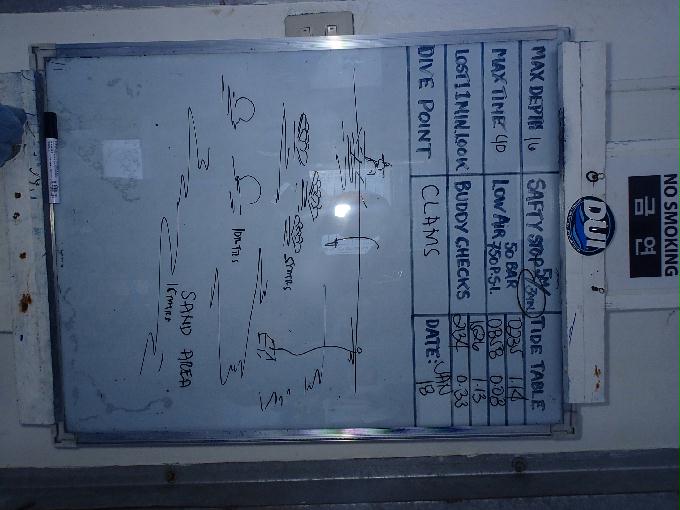 Fun Diving - 필리핀 민도르 사방비치 - GIANT CLAMS Point