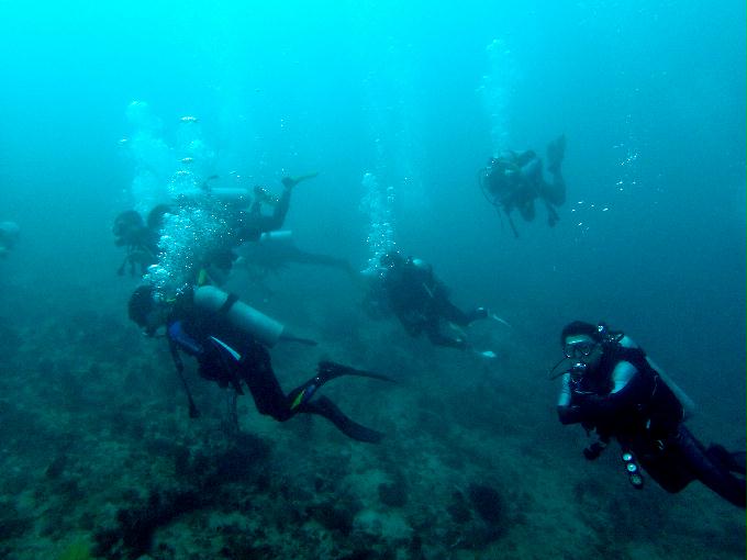 Fun Diving - 필리핀 민도르 사방비치 - From PINK WALL to HOLE IN THE WALL