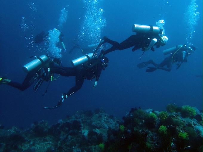 Fun Diving - 필리핀 민도르 사방비치 - MONKEY BEACH