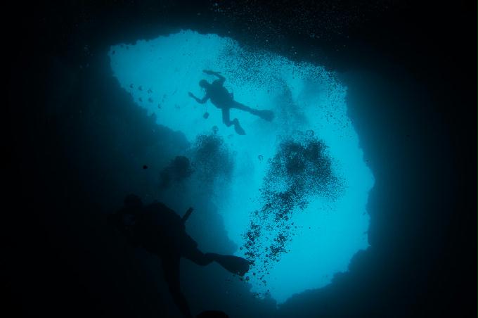동굴 다이빙, 전기가리비 - 팔라우 - 블루홀