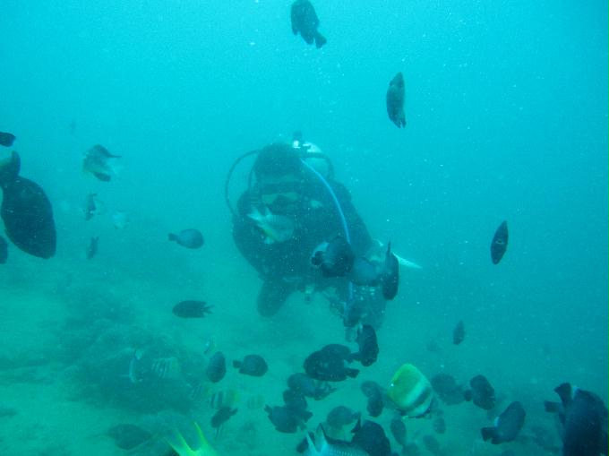 Anilao,PHILIPPINES - Twin Rock