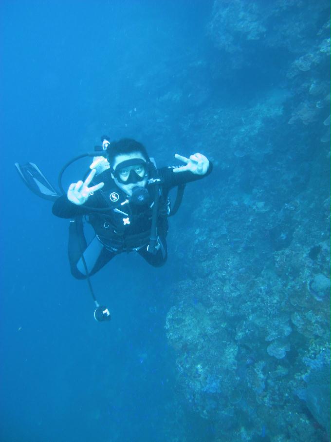 Bohol,PHILIPPINES - Diver Heaven,Balicasag