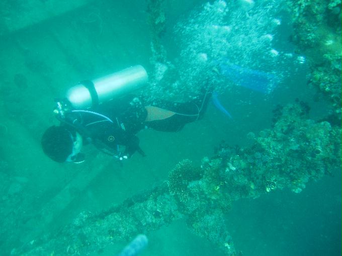 Anilao,PHILIPPINES - Erica