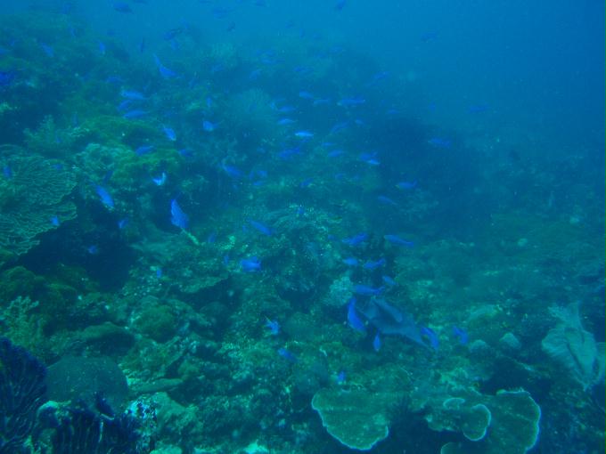 CEBU,PHILIPPINES - MARIGONDON CAVE,MACTAN IS.