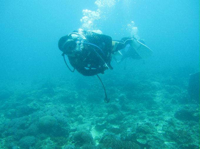 Anilao,PHILIPPINES - Dalilat