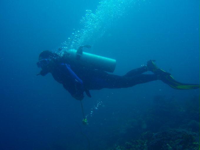 CEBU,PHILIPPINES - AGUS,MACTAN IS.