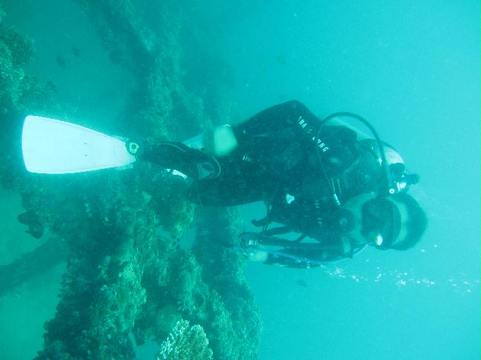 Anilao,PHILIPPINES - Dalilat