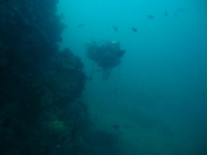 Anilao,PHILIPPINES - Twin Rock