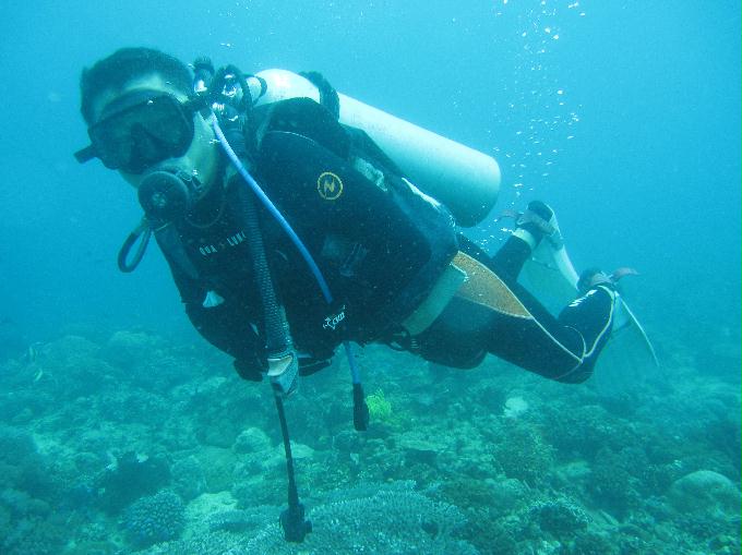 Anilao,PHILIPPINES - Dalilat