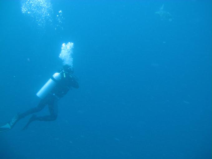 Bohol,PHILIPPINES - Diver Heaven,Balicasag