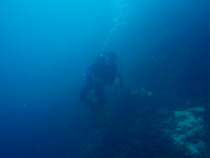 CEBU,PHILIPPINES - DAKI-DAKI,MACTAN IS.