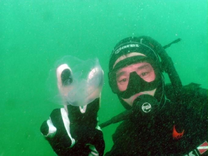 펀다이빙 - 강원도 고성 LF문암리조트 - 명파대