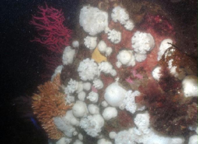 펀다이빙 - 강원도 고성 LF문암리조트 - 금강산