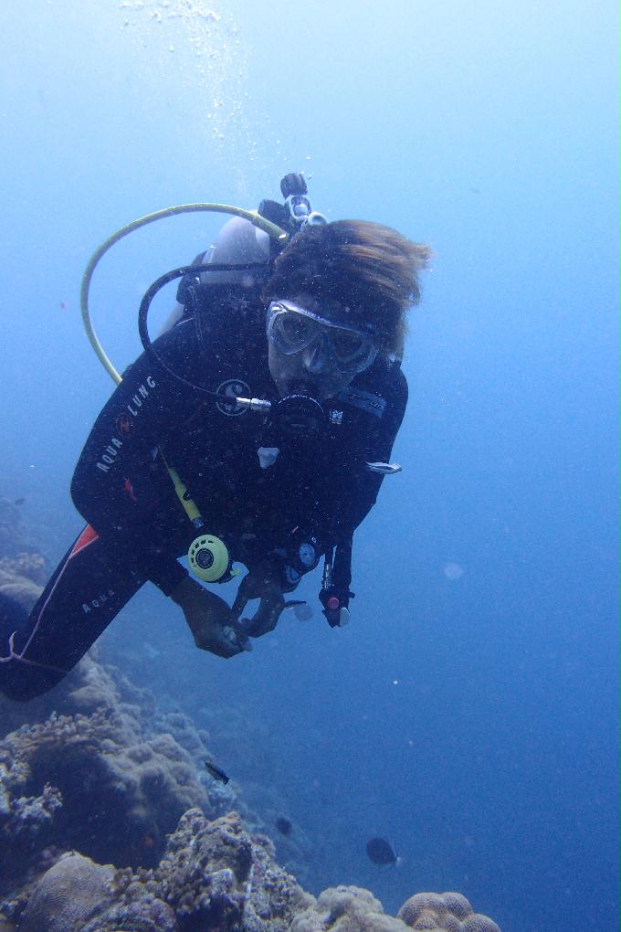 펀 다이빙 - 막탄, 필리핀 - Hilutungan