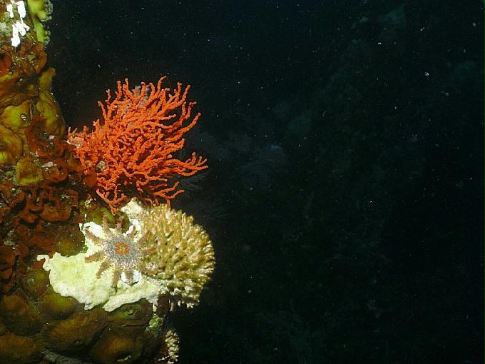 펀다이빙 - 강원도 고성 LF문암리조트 - 마이산