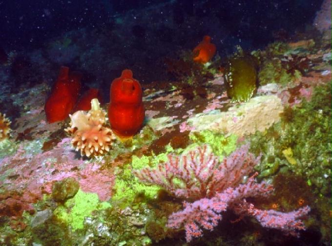 펀다이빙 - 강원도 양양 팀스쿠버 - 샌드블럭