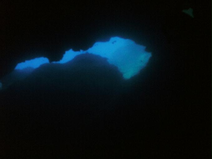 펀다이빙 - 사이판 다이브Y2K - 그루토(GROTTO)