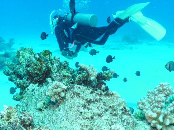 펀다이빙 - 사이판 다이브Y2K - 오비얀(OBYAN)