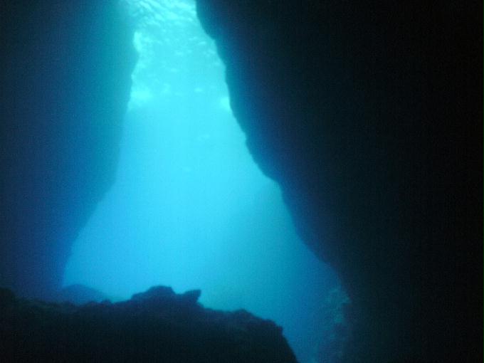 펀다이빙 - 사이판 다이브Y2K - 그루토(GROTTO)