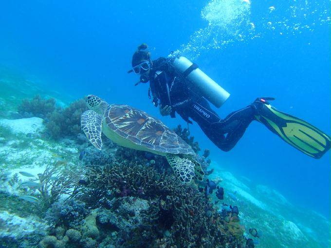 펀 다이빙 - 보홀, 필리핀 - Black Forest . in 발리카삭 