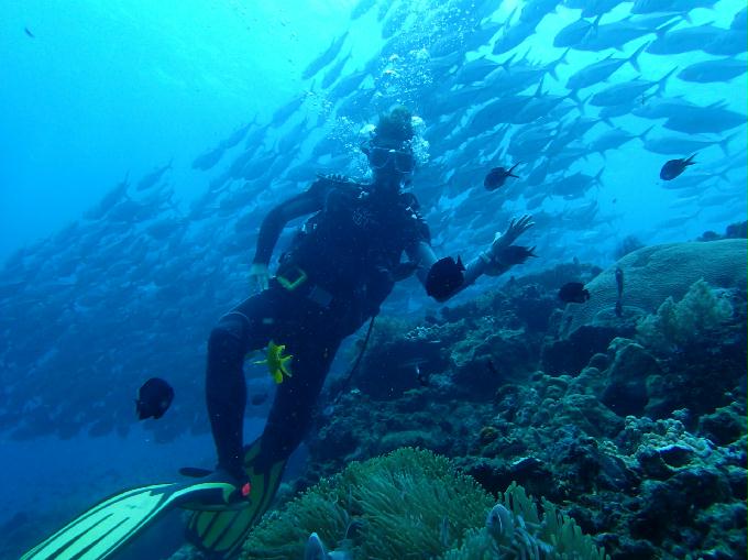 펀 다이빙 - 보홀, 필리핀 - Black Forest . in 발리카삭 
