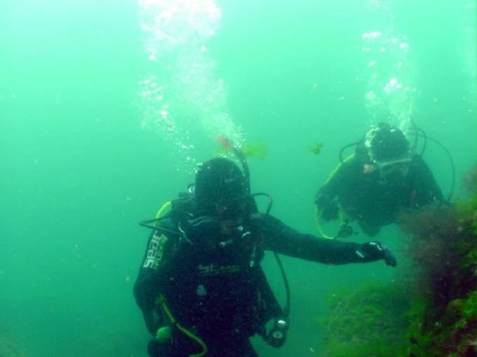 펀다이빙 - 경남 남해 하야루비 - 마안도