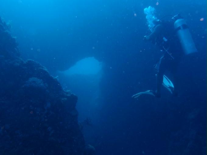 펀다이빙 - 엘씨엘로 쏘쿨 다이브 - 아르코포인트