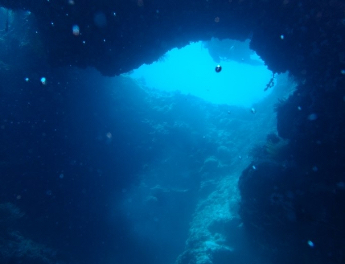 펀다이빙 - 엘씨엘로 쏘쿨 다이브 - 아르코포인트