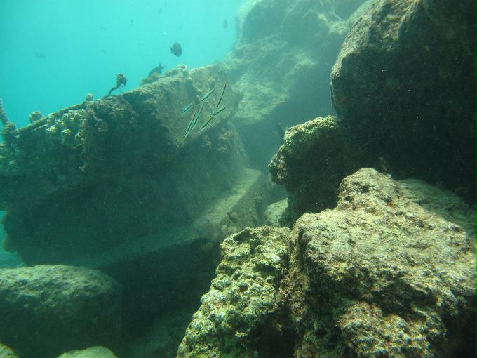 House Reef 체크 다이빙 - 막탄, 필리핀 - DIVE LAB. House Reef