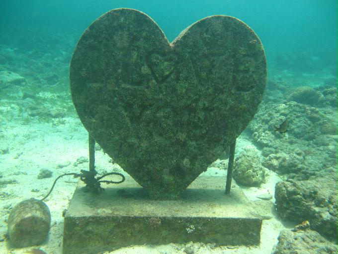 House Reef 체크 다이빙 - 막탄, 필리핀 - DIVE LAB. House Reef