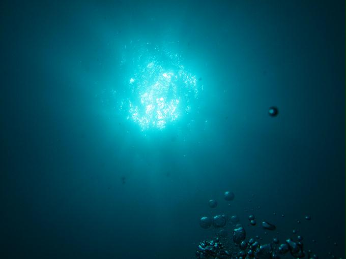 House Reef 체크 다이빙 - 막탄, 필리핀 - DIVE LAB. House Reef