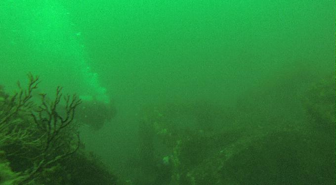 Fun Diving - 울진 - 인공어초