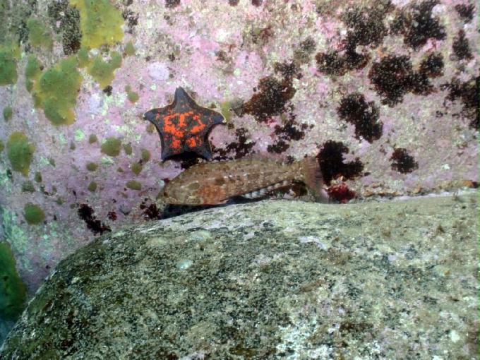 어드밴스드 교육 - 강원도 고성 LF문암리조트 - 비치