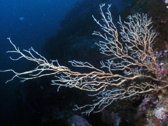 어드밴스드 교육 - 강원도 고성 LF문암리조트 - 금강산