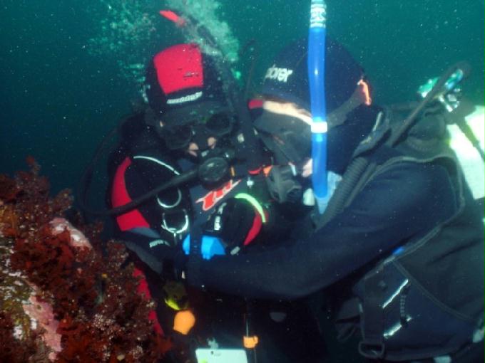 어드밴스드 교육 - 강원도 고성 LF문암리조트 - 금강산