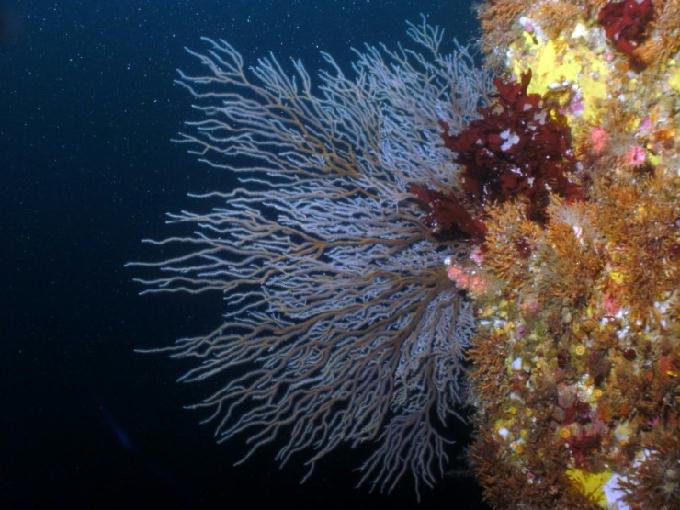 펀다이빙 - 강원도 고성 LF문암리조트 - 금강산