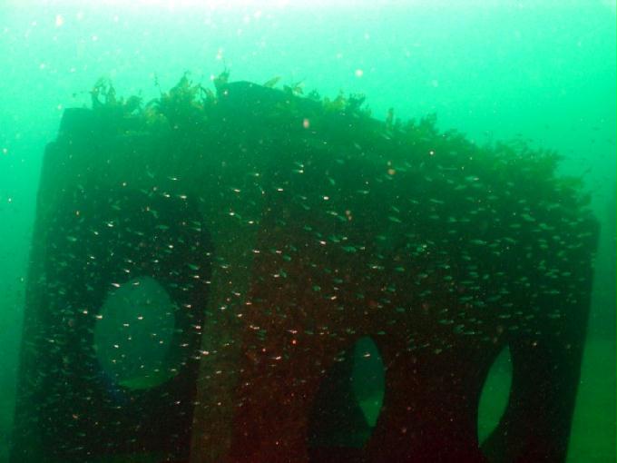 펀다이빙 - 강원도 강릉 바하마 다이브리조트 - 실크로드