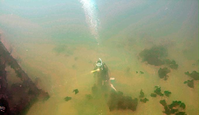 펀다이빙 - 강원도 강릉 바하마 다이브리조트 - 인공어초