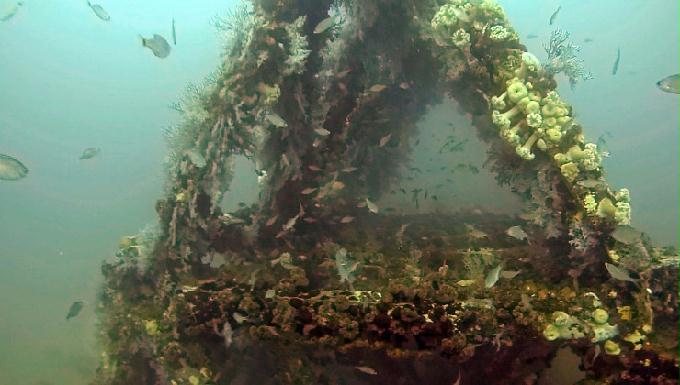 펀다이빙 - 강원도 강릉 바하마 다이브리조트 - 인공어초